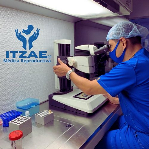 medicina_reproductiva_itzae_ginegologia_obstetricia_seleccion_de_sexo_infertilidad_reproduccion_asistida_5